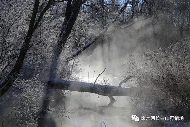 发现与讨论有关为什么老年人喜欢在家放钱而不存入银行呢?的红迪网社区